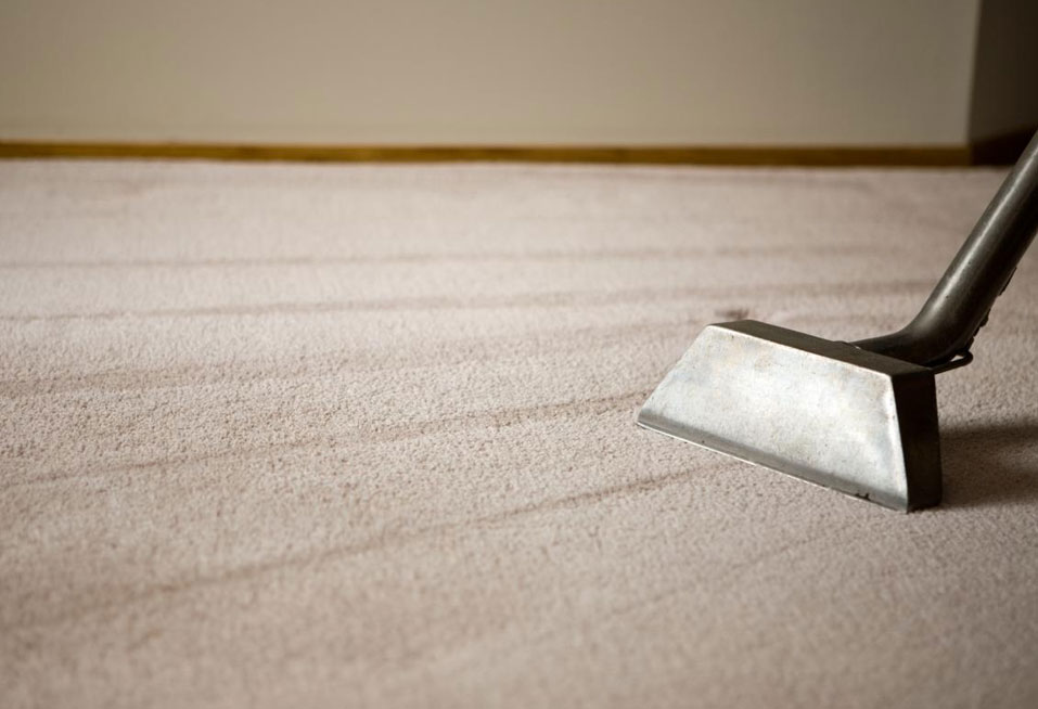 Restored-Right-Sydney-Carpet-Steam-Cleaning-4