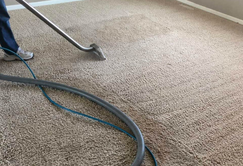 Restored-Right-Sydney-Carpet-Steam-Cleaning-6